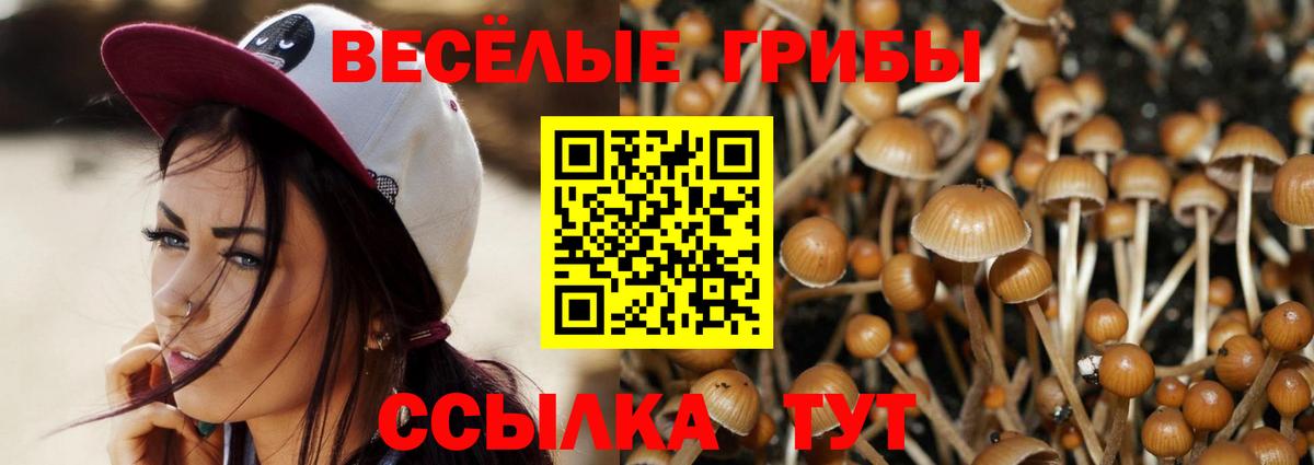 Галлюциногенные грибы Magic Shrooms  Галлюциногенные грибы прущие грибы  Саров  Вход с VPN 