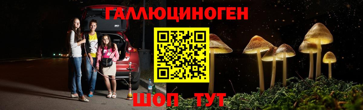 Галлюциногенные грибы Psilocybe Саров